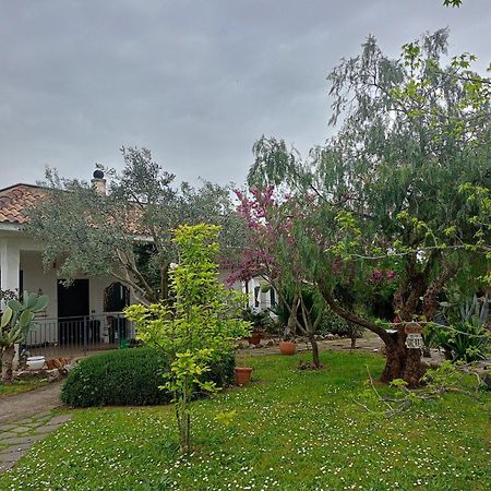 ホテル La Casa Di Fede ラヌーヴィオ エクステリア 写真