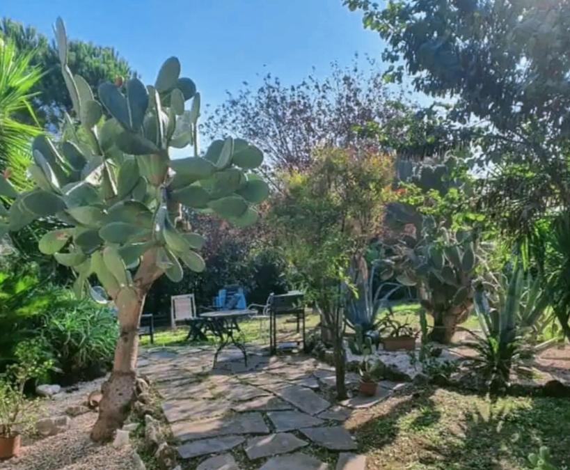 ホテル La Casa Di Fede ラヌーヴィオ エクステリア 写真